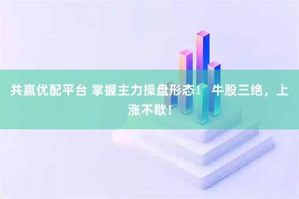 共赢优配平台 掌握主力操盘形态！ 牛股三绝，上涨不歇！