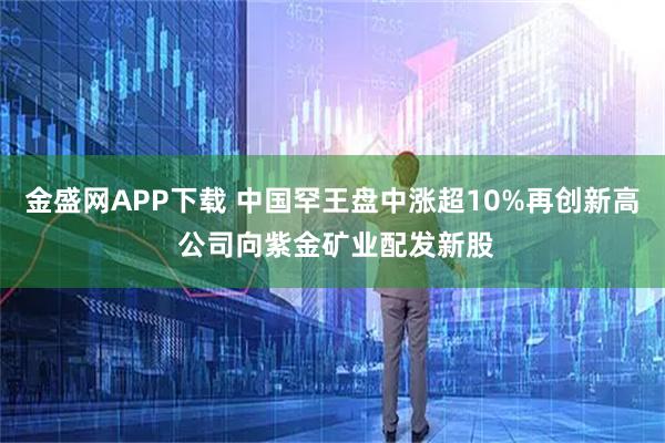 金盛网APP下载 中国罕王盘中涨超10%再创新高 公司向紫金矿业配发新股