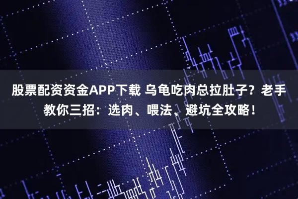 股票配资资金APP下载 乌龟吃肉总拉肚子？老手教你三招：选肉、喂法、避坑全攻略！