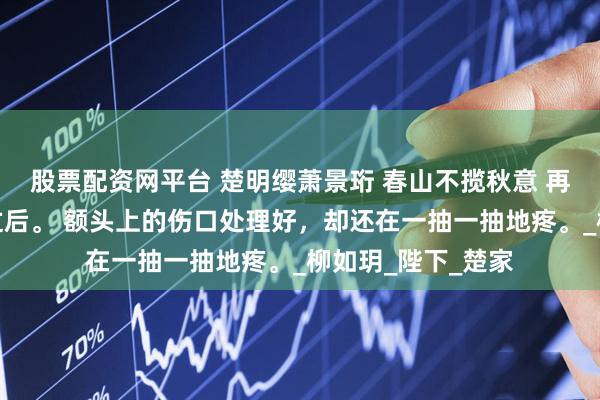 股票配资网平台 楚明缨萧景珩 春山不揽秋意 再醒来，已是三日过后。 额头上的伤口处理好，却还在一抽一抽地疼。_柳如玥_陛下_楚家