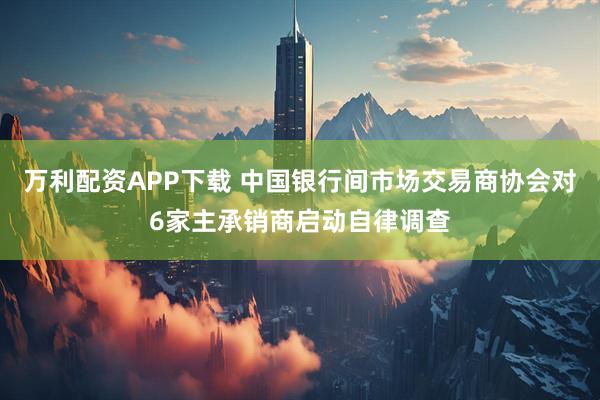 万利配资APP下载 中国银行间市场交易商协会对6家主承销商启动自律调查