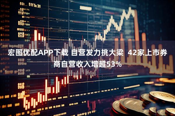 宏图优配APP下载 自营发力挑大梁 42家上市券商自营收入增超53%